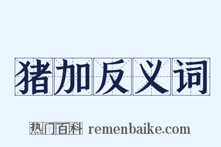 猪加反义词是什么意思的图片